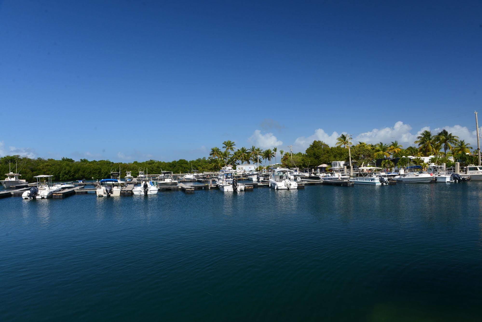 Sunshine Key Rv Resort & Marina بيغ باين كي المظهر الخارجي الصورة