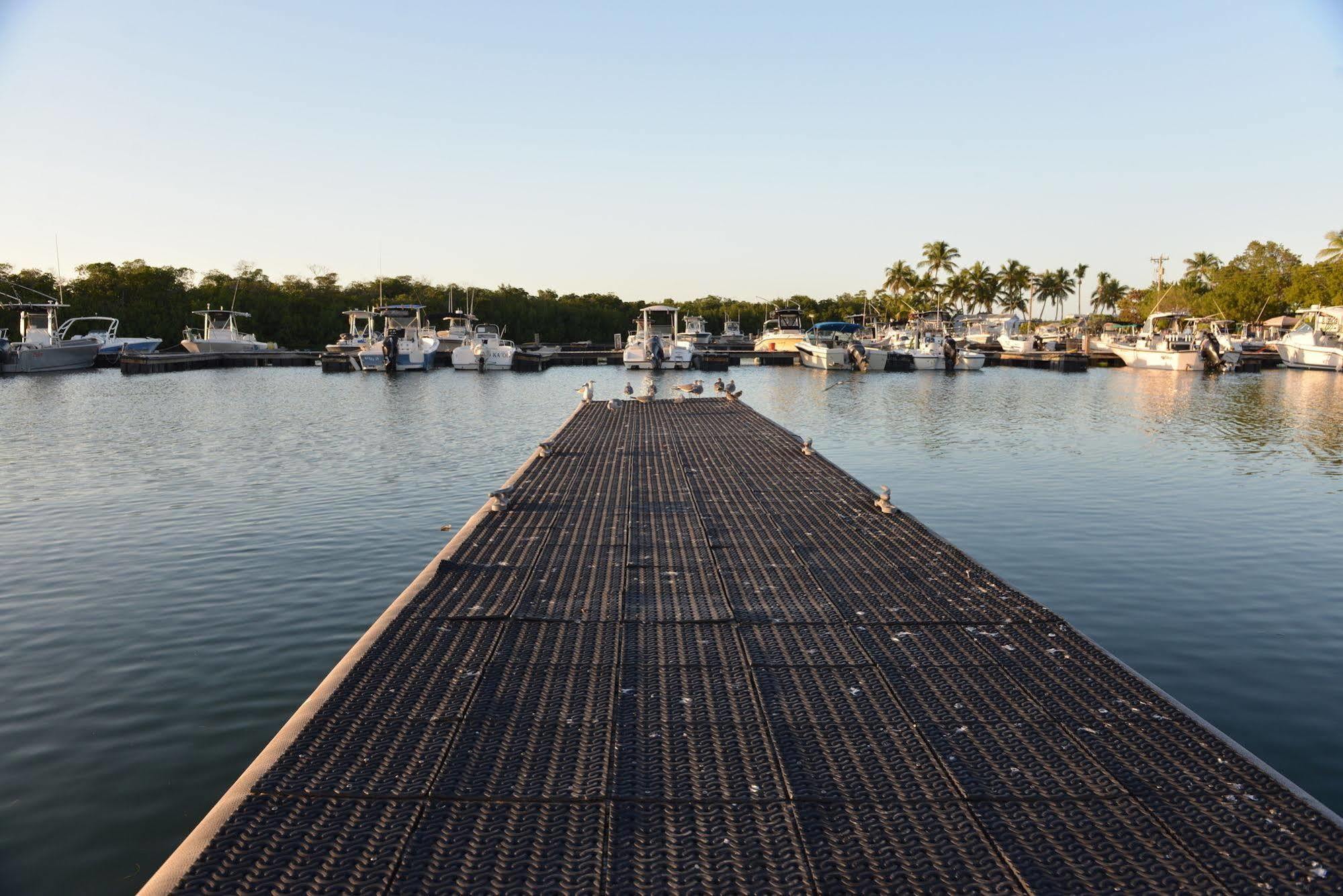 Sunshine Key Rv Resort & Marina بيغ باين كي المظهر الخارجي الصورة